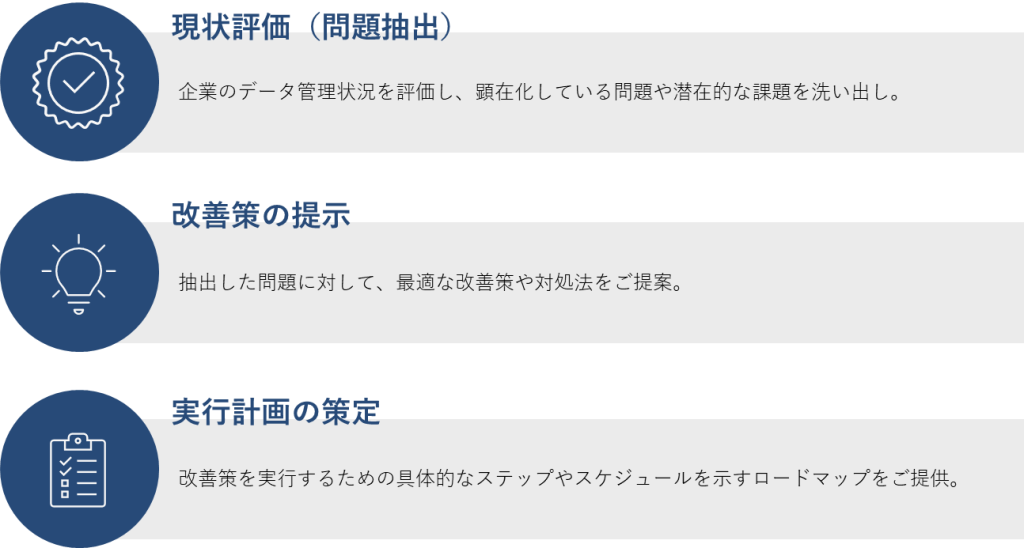 データマネジメント・アセスメントサービス 概要