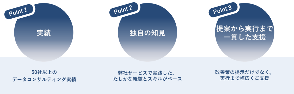 データマネジメント・アセスメントサービス の特徴
