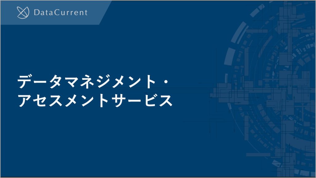 データマネジメント・アセスメントサービス